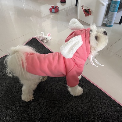 Áo mũ trùm tai thỏ dành cho thú cưng - Màu thật đậm hơn