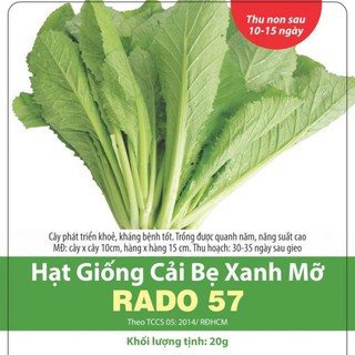 Hạt giống cải bẹ xanh mỡ rado 57