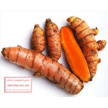 Củ nghệ vàng tươi