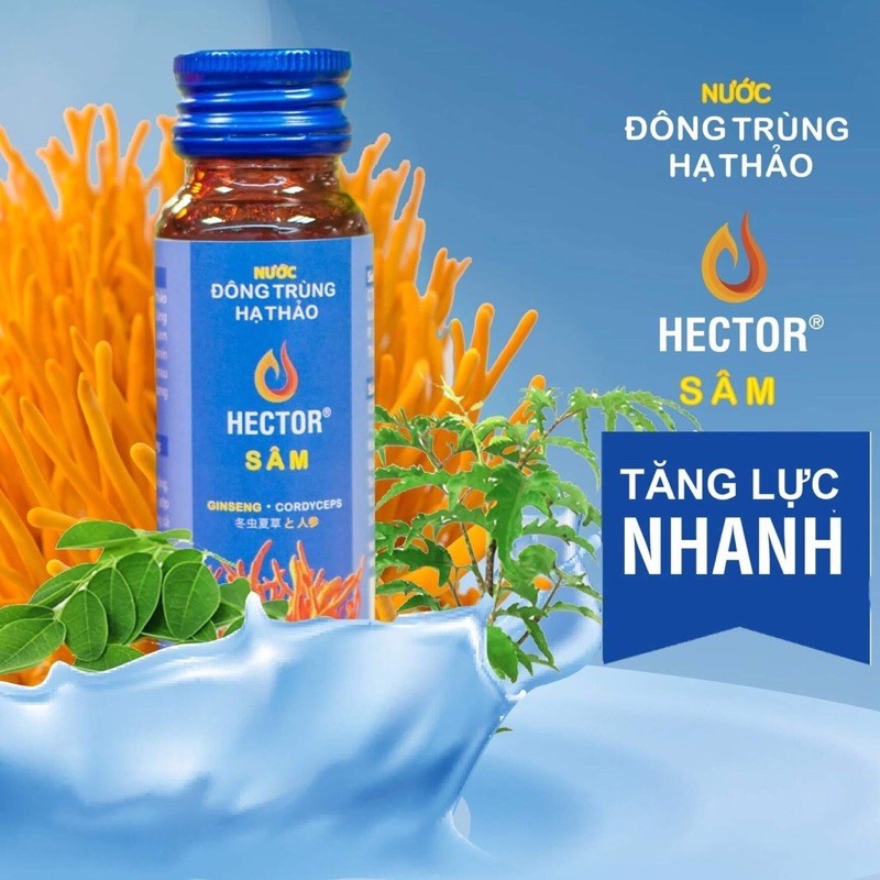 ~Chính hãng~Đông trùng hạ thảo HECTOR sâm hộp 10 hủ