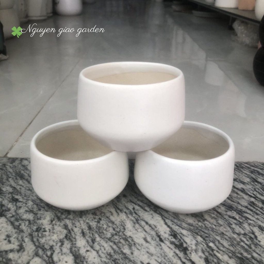 Chậu sứ bát tràng trồng sen đá, xương rồng, cây cảnh nhỏ