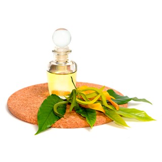 Tinh dầu ngọc lan tây (ylang ylang) Elie'v 10ml