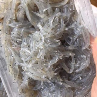 500gr Cá Cơm Mờn - Cá Cơm Sữa - Đặc sản Đà Nẵng siêu ngon