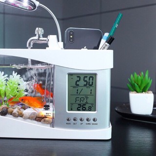 Bể cá mini+Đồng hồ+Cá cảnh+Đèn bàn