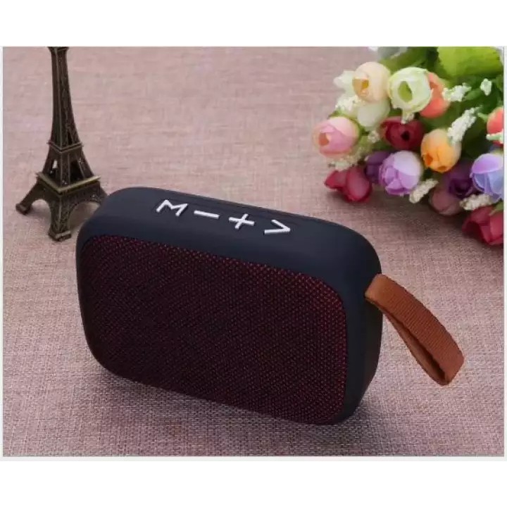 LOA BLUETOOTH G2