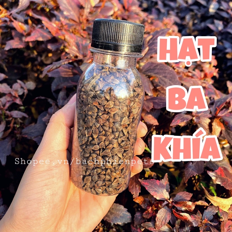 Ba Khía thức ăn cho Hamster, Vẹt.