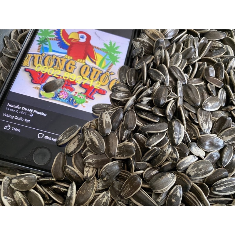 Hạt hướng dương Nam Mỹ sống gói 1kg