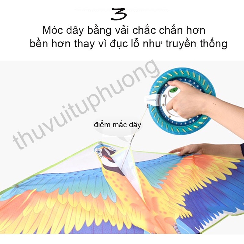 DIỀU VẸT-DIỀU HÌNH CON VẸT