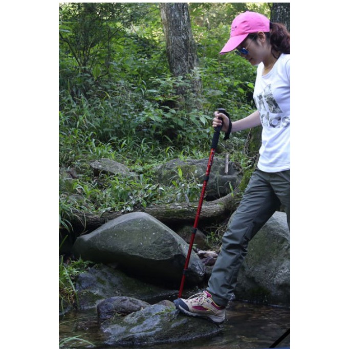 La bàn | gậy leo núi cao cấp hewolf desert fox gậy đi trekking gậy đi phượt thể thao dã ngoại