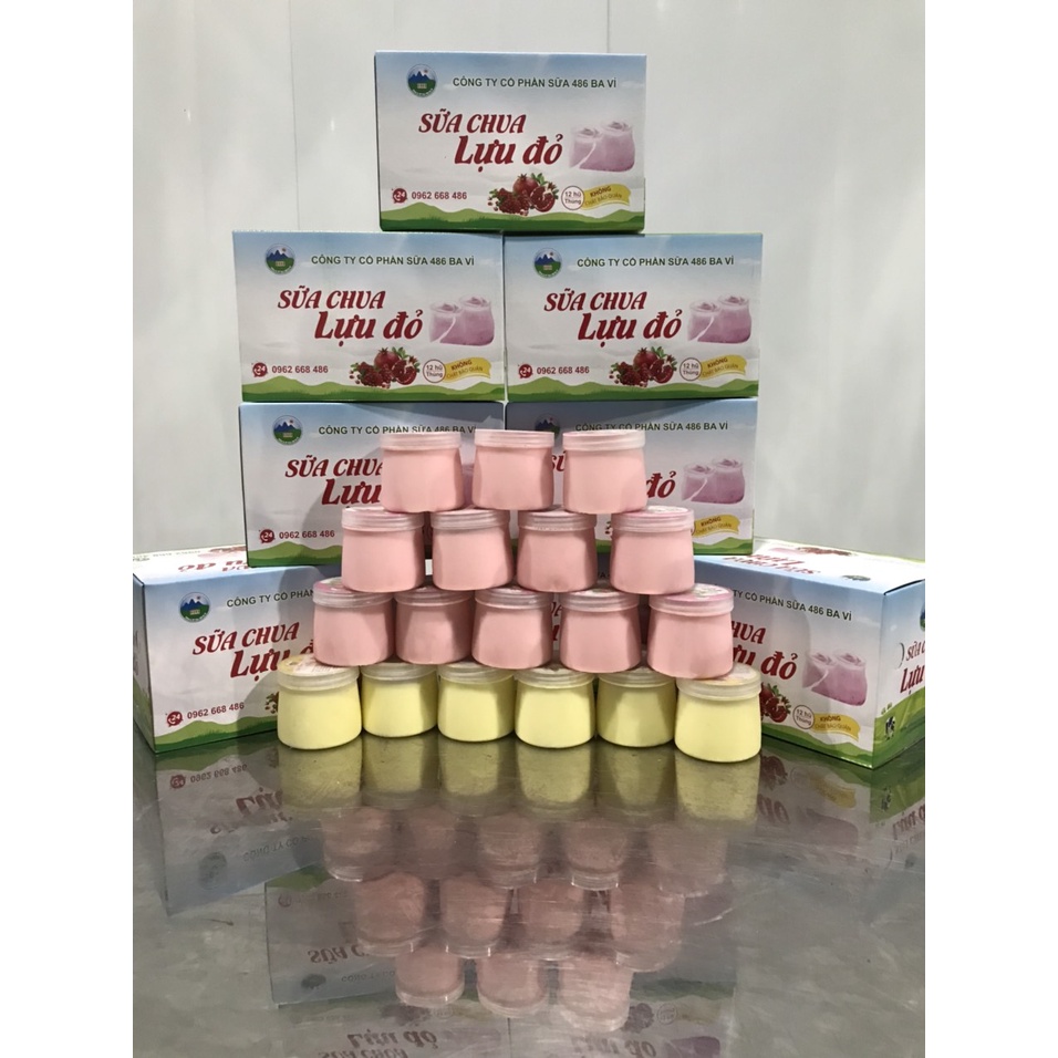 Sữa chua Lựu đỏ Ba Vì đặc biệt thơm ngon