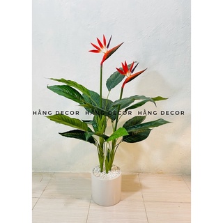 Cây thiên điểu 1m - cây giả decor