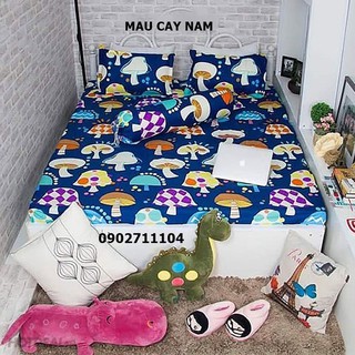 Bộ ga gối cotton nhiều mẫu