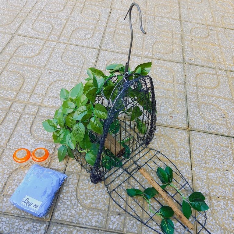 Lụp Bẫy Chim Cu Gáy Rẻ Nhất Thị Trường