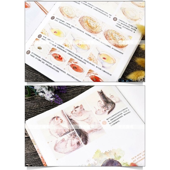 Tập ABOOK vẽ Màu nước Tĩnh vật, Cuộc sống thường nhật