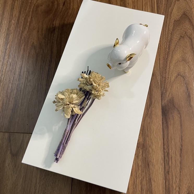 Flashcard  - 100 Thẻ trắng 15x30cm chuẩn giấy Ivory 350