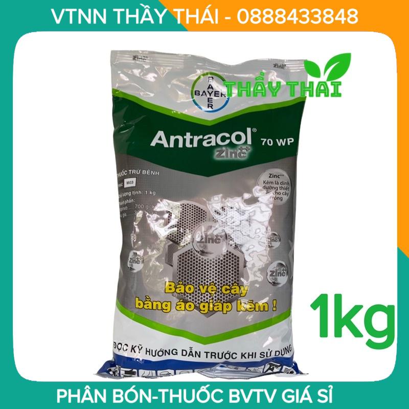 ANTRACOL 70WP-1KG-BAYER-DẠNG BỘT -ĐẶC TRỊ NẤM BỆNH DƯỠNG LÁ