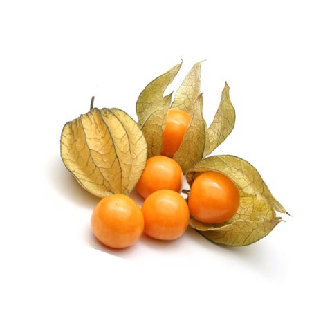 Cây Tầm Bóp khô 1kg  hàng chuẩn loại 1