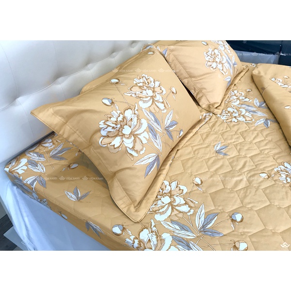 Bộ ga gối Sông Hồng Basic cotton BC22066
