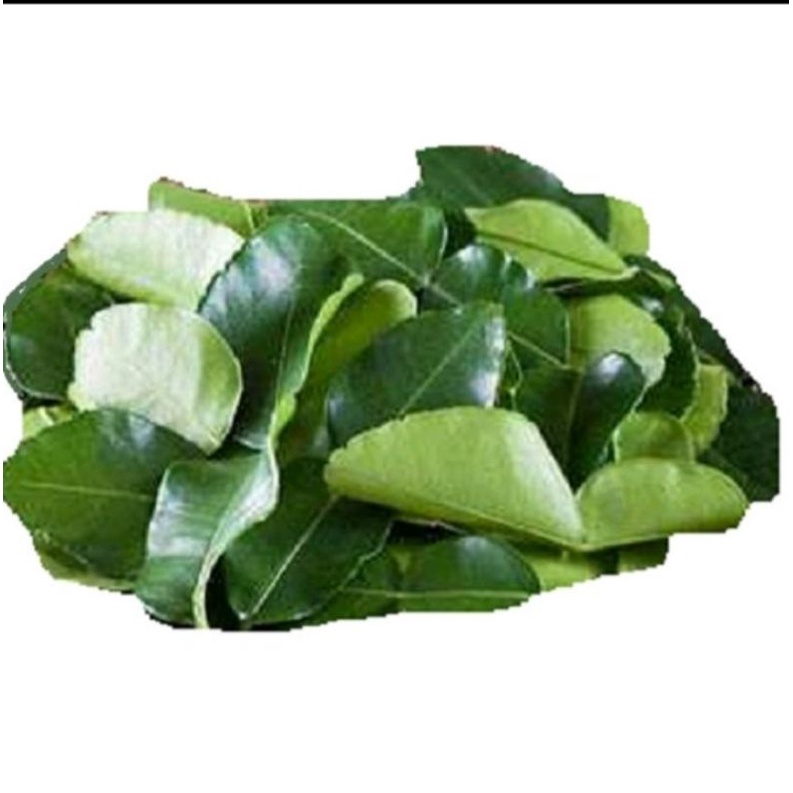 Lá bưởi tươi