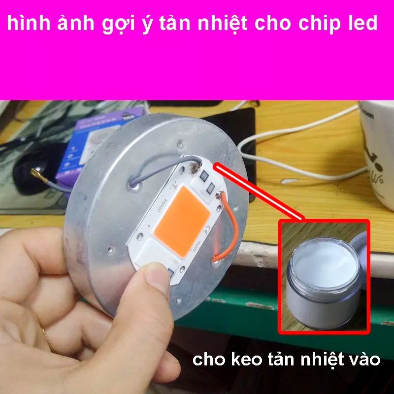 chip LED quang phổ toàn phần trồng cây công suất 20w