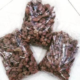 Nham thạch cho hồ thuỷ sinh