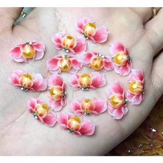 Cúc trai nail, hoa cúc nail, cúc nail thanh lý