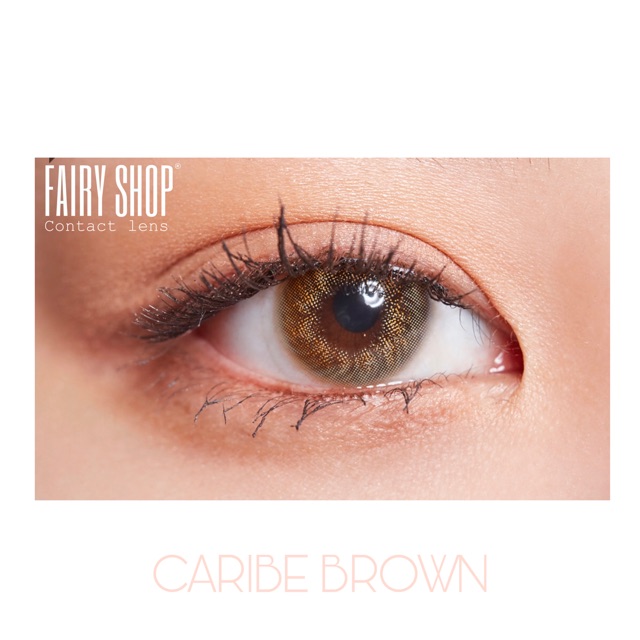 Kính Áp Tròng Pinky Bae BROWN 14.0mm - Kính Áp Tròng FAIRY SHOP CONTACT LENS - độ cận 0 đến 8