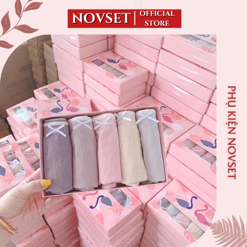 Quần lót nữ NOVSET hộp 5 quần lót nữ thiên nga kháng khuẩn cao cấp
