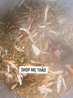 SỮA TẮM THẢO MỘC 500ML - SHOP MẸ THẢO