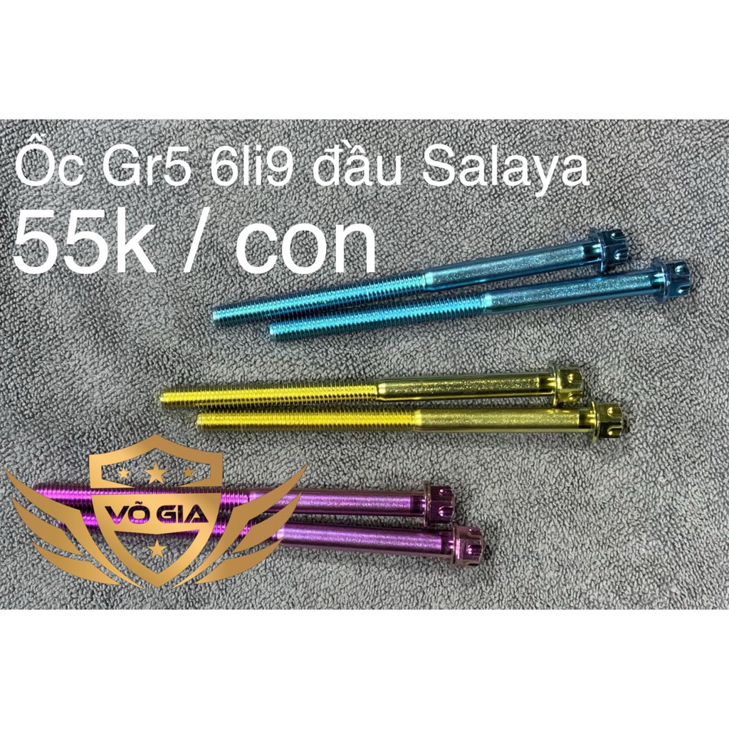 Ốc Titan Gr5 6li90 Đầu SALAYA bắt lốc máy tất cả các dòng xe gắn máy