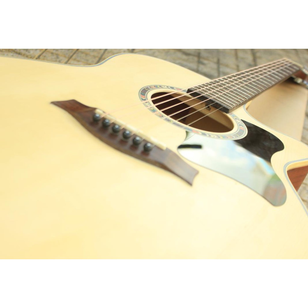 Guitar gỗ hồng đào kỹ ELVS220