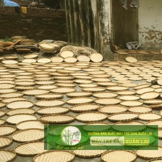 Compo Mẹt tre