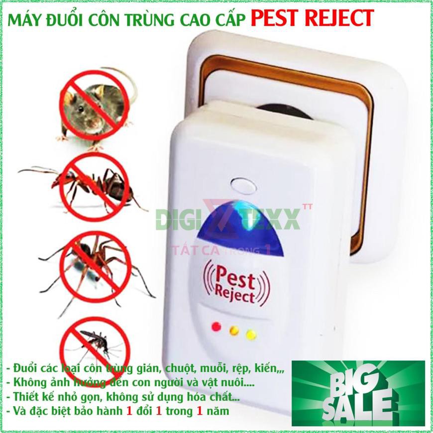 Thiết Bị Đuổi Côn Trùng Pest Reject - Máy Đuổi Chuột , Dán Bằng Sóng Âm