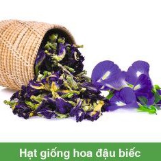 Hạt Giống Hoa Đậu Biếc Gói 2gr