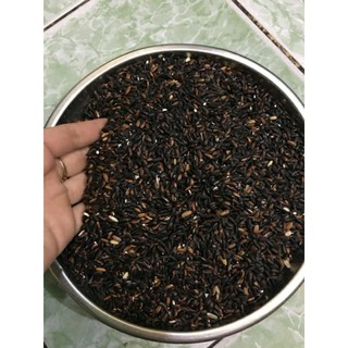 Nếp Cẩm[Nếp Than] Tây Bắc 1kg