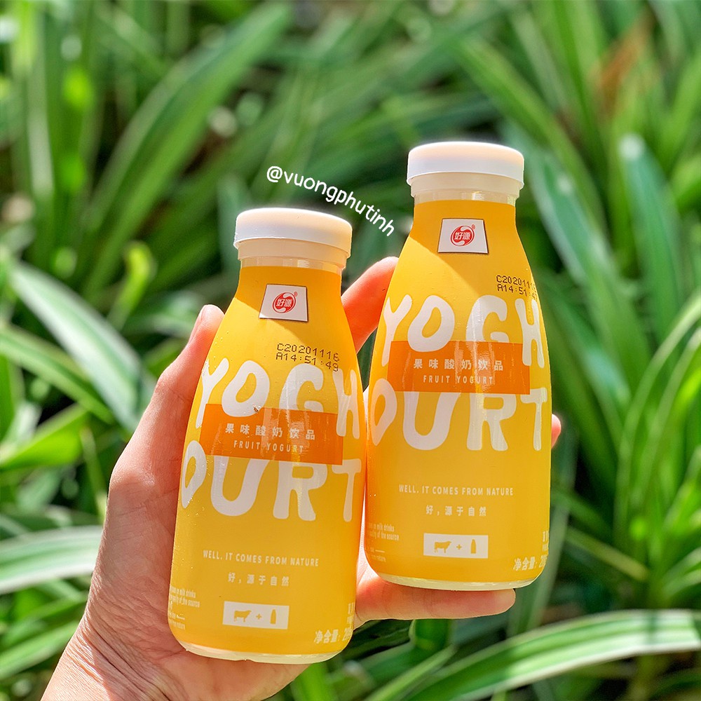 SỮA CHUA HOA QUẢ - Hãng Hảo Nguyên | Vương Phủ Tỉnh