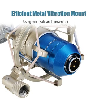 Micro Thu Âm Có Giá Đỡ Ba Chân Leihao Bm-8000