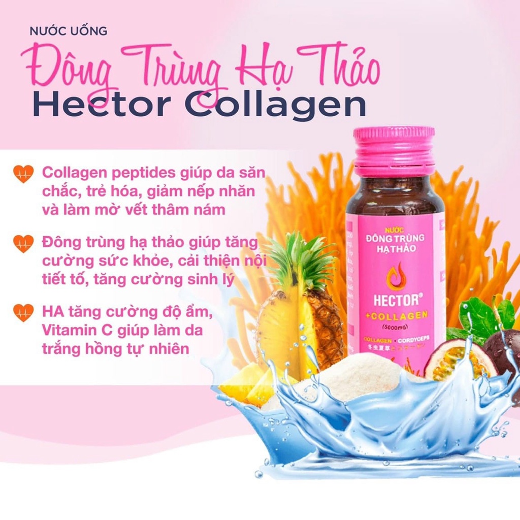 Nước Đông Trùng Hạ Thảo Hector Collagen Hộp 10 Chai Hector Cordyceps Collagen