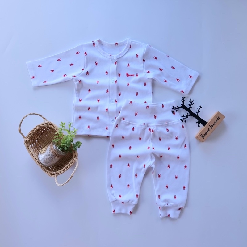 Bộ dài cao cấp Bunny thu đông cho bé 3-10kg