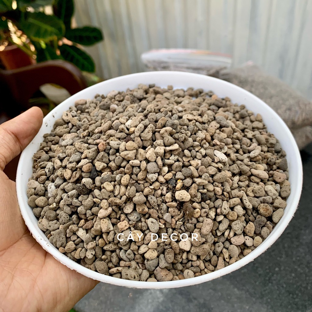 Đá bọt Pumice  cực tốt cho sen đá, cây kiểng - size 3-6mm, gói 1kg