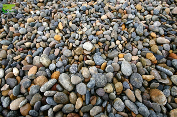 Sỏi Nhiều Màu Size 10-15 mm Trang Trí Tiểu Cảnh, Chậu Cây, Hồ Cá 500gr