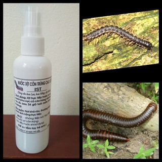 lọ xịt diệt cuốn chiếu & côn trùng 100ml