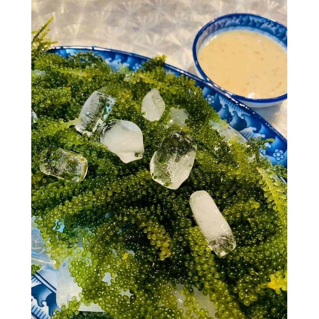 1kg Rong nho tươi hàng mới hàng ngày