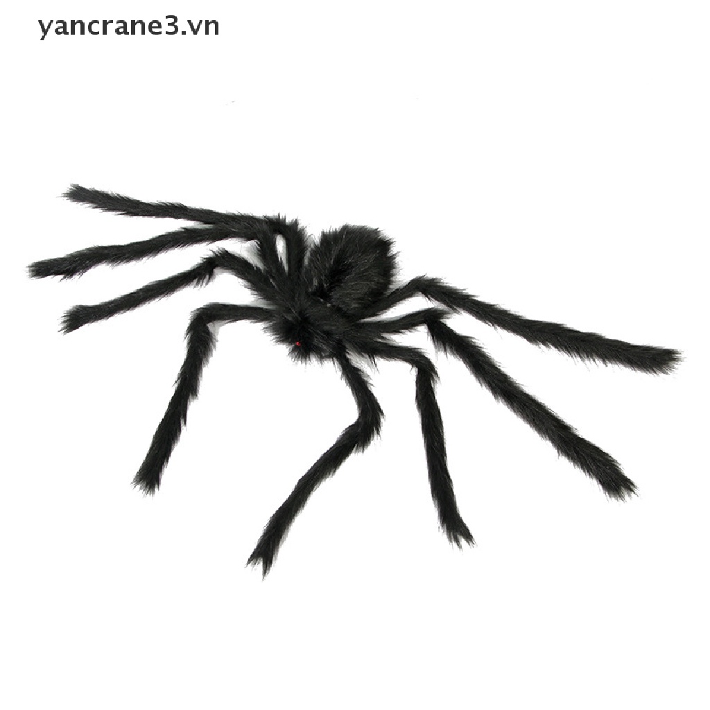 Nhện Đen Khổng Lồ 3.vn Trang Trí Nhà Cửa Dịp Halloween