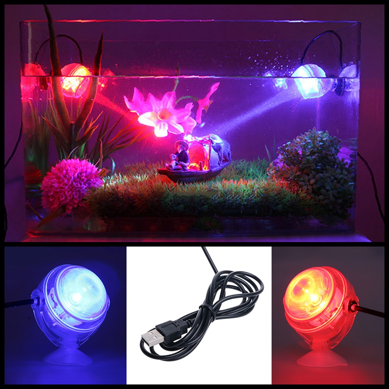 Đèn LED chiếu điểm đặt dưới nước chuẩn phích cắm EU cho bể cá