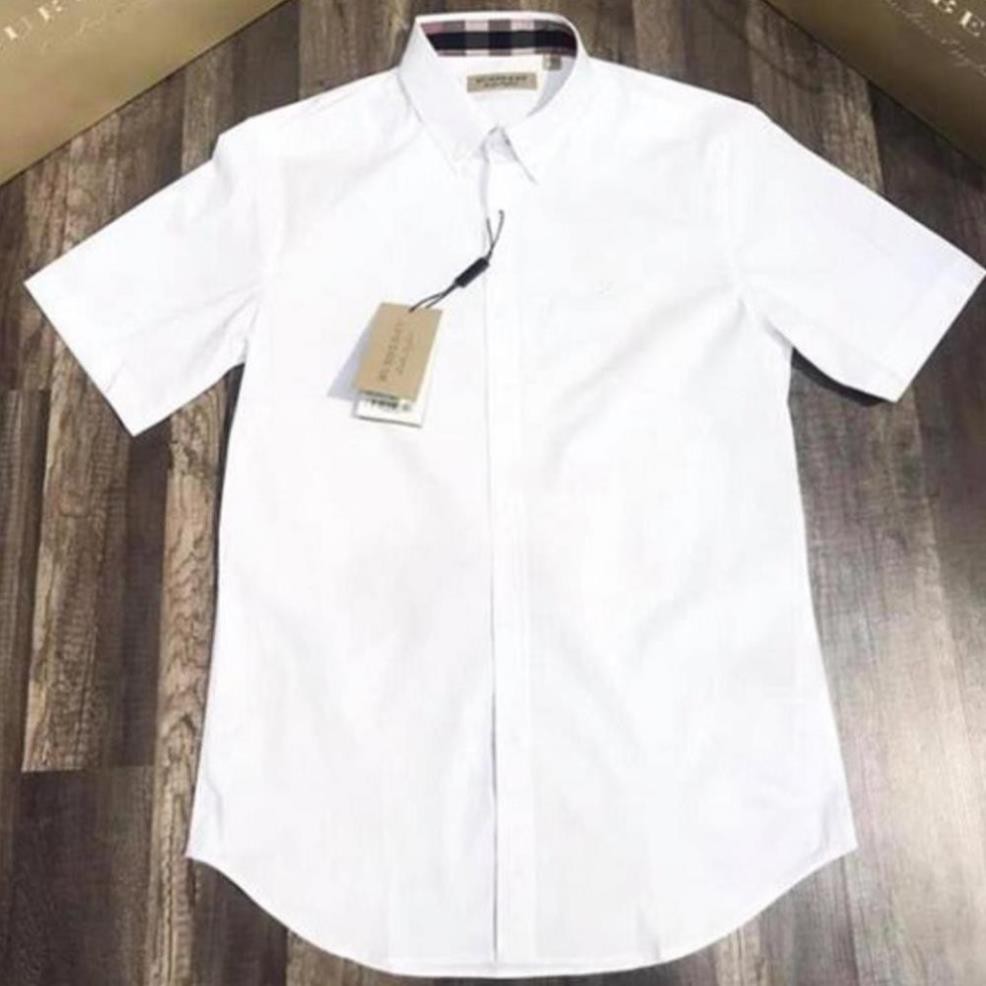 Áo sơ mi ngắn tay nam lụa trắng công sở cao cấp Hamino cộc tay lỡ chất lụa mềm mại thoải mái form slimfit thời trang | BigBuy360 - bigbuy360.vn