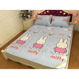 CHIẾU ĐIỀU HÒA TENCEL 1M8 X 2M