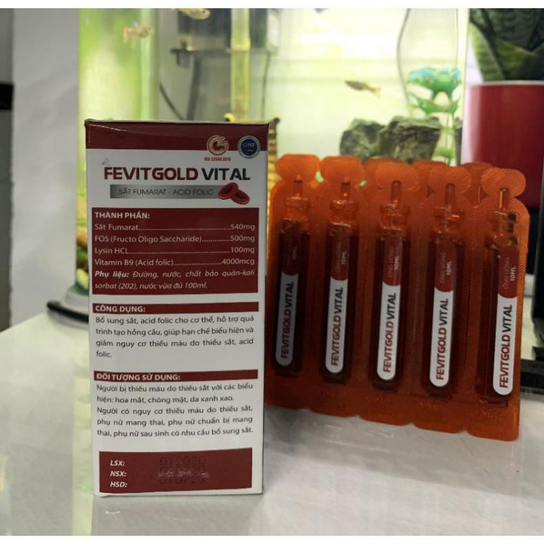 Fevitgold Vital bổ sung sắt và acid folic, giảm thiếu máu do thiếu sắt, hỗ trợ quá trình tạo máu