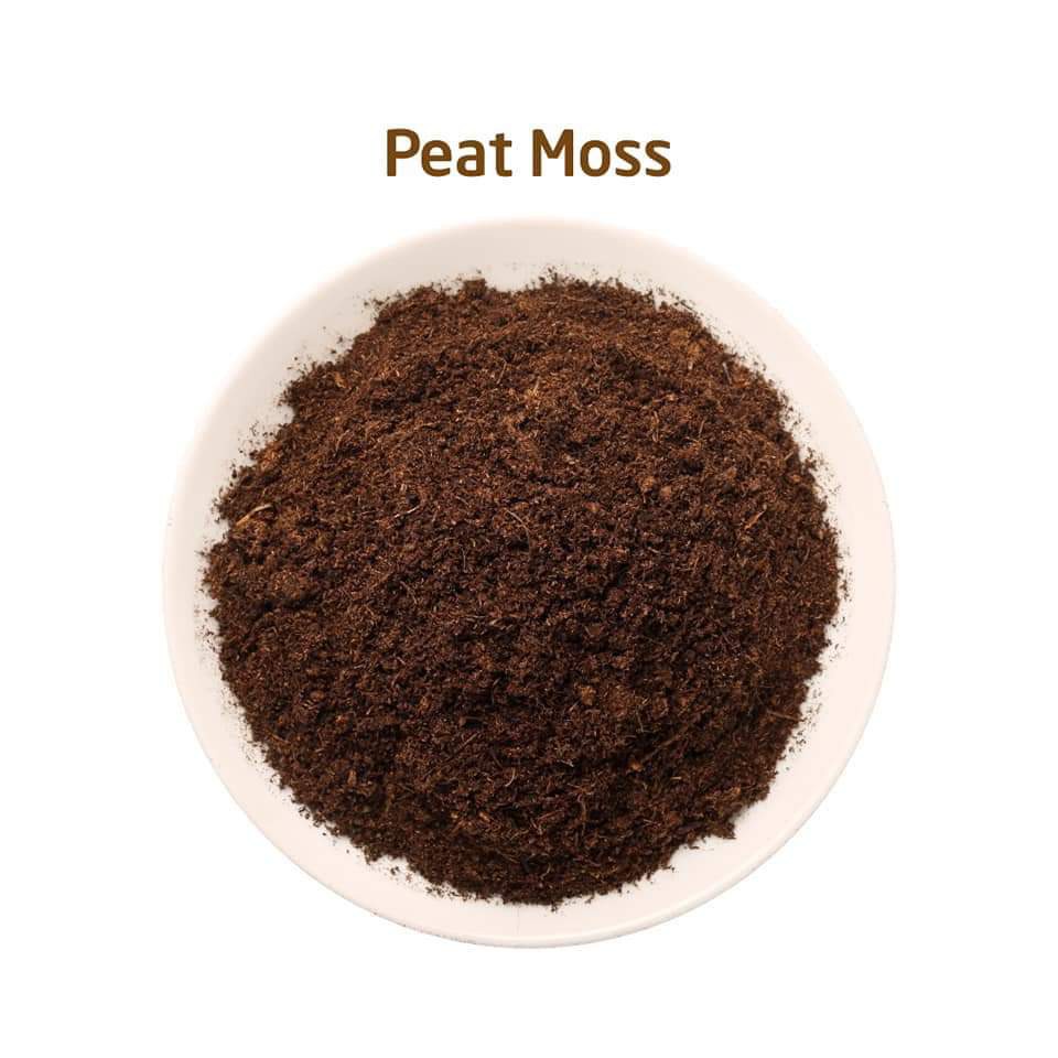Than Bùn Rêu Peat Moss - Giá Thể Peatmoss Trồng Sen Đá, Xương Rồng, Kiểng Lá (1 Lít)