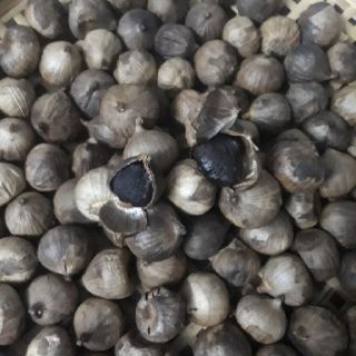 Tỏi đen cô đơn CÔNG NGHỆ NHẬT BẢN